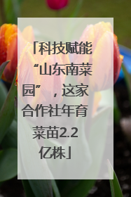 科技赋能“山东南菜园”，这家合作社年育菜苗2.2亿株