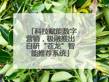 科技赋能数字营销，极融推出自研“苍龙”智能推荐系统