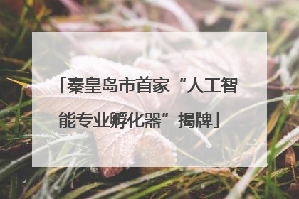 秦皇岛市首家“人工智能专业孵化器”揭牌