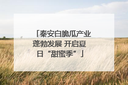 秦安白脆瓜产业蓬勃发展 开启夏日“甜蜜季”