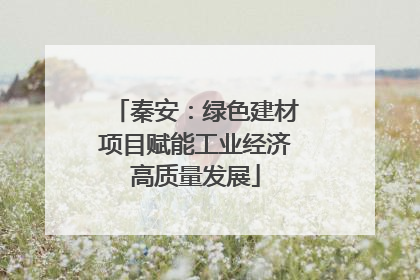秦安：绿色建材项目赋能工业经济高质量发展