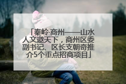 秦岭·商州——山水人文邀天下，商州区委副书记、区长支朝奇推介5个重点招商项目