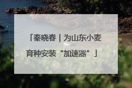 秦晓春｜为山东小麦育种安装“加速器”