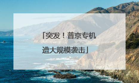 突发！普京专机遭大规模袭击