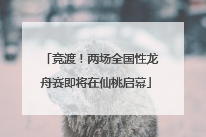 竞渡！两场全国性龙舟赛即将在仙桃启幕