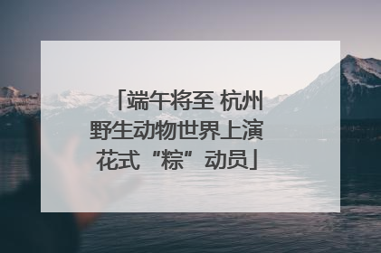 端午将至 杭州野生动物世界上演花式“粽”动员