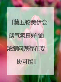 第五轮美伊会谈气氛良好 铀浓缩问题存在妥协可能