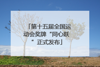 第十五届全国运动会奖牌“同心跃”正式发布
