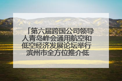 第六届跨国公司领导人青岛峰会通用航空和低空经济发展论坛举行 滨州市全方位推介低空经济发展优势