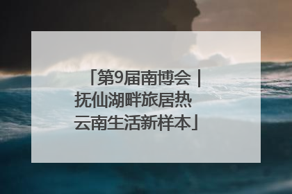 第9届南博会｜抚仙湖畔旅居热 云南生活新样本