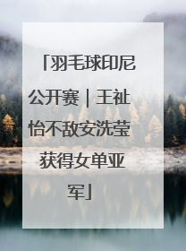 羽毛球印尼公开赛｜王祉怡不敌安洗莹 获得女单亚军