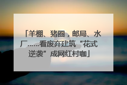 羊棚、猪圈，邮局、水厂……看废弃建筑“花式逆袭”成网红村咖