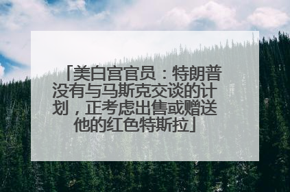 美白宫官员：特朗普没有与马斯克交谈的计划，正考虑出售或赠送他的红色特斯拉