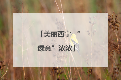 美丽西宁 “绿意”浓浓