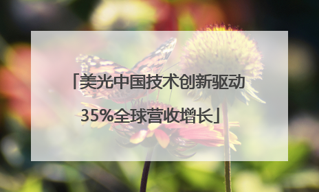 美光中国技术创新驱动35%全球营收增长