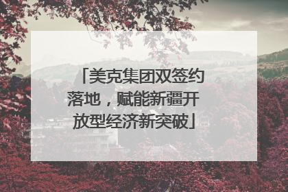 美克集团双签约落地，赋能新疆开放型经济新突破