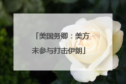 美国务卿：美方未参与打击伊朗