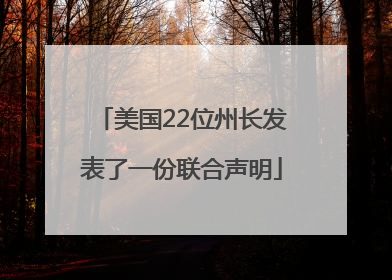 美国22位州长发表了一份联合声明