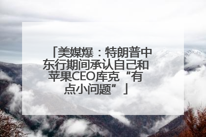 美媒爆：特朗普中东行期间承认自己和苹果CEO库克“有点小问题”