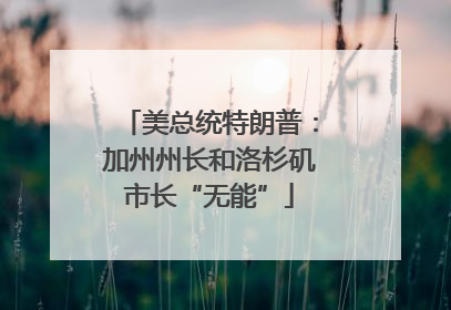 美总统特朗普：加州州长和洛杉矶市长“无能”