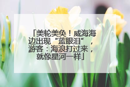 美轮美奂！威海海边出现“蓝眼泪”，游客：海浪打过来，就像星河一样