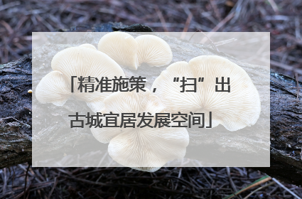 精准施策，“扫”出古城宜居发展空间