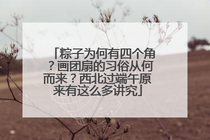 粽子为何有四个角？画团扇的习俗从何而来？西北过端午原来有这么多讲究