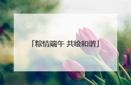 粽情端午 共绘和谐