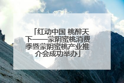 红动中国 桃醉天下——蒙阴蜜桃消费季暨蒙阴蜜桃产业推介会成功举办