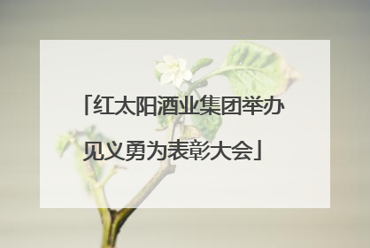 红太阳酒业集团举办见义勇为表彰大会