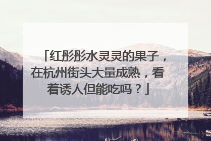 红彤彤水灵灵的果子，在杭州街头大量成熟，看着诱人但能吃吗？