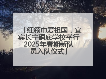 红领巾爱祖国，宜宾长宁硐底学校举行2025年春期新队员入队仪式