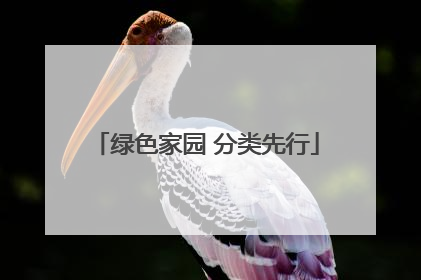 绿色家园 分类先行