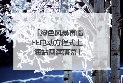 绿色风暴再临 FE电动方程式上海站圆满落幕
