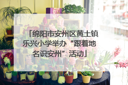 绵阳市安州区黄土镇乐兴小学举办“跟着地名识安州”活动