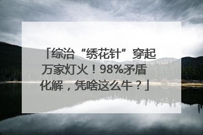 综治“绣花针”穿起万家灯火！98%矛盾化解，凭啥这么牛？