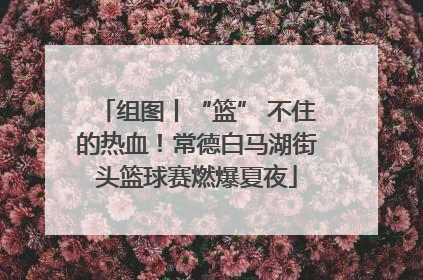 组图丨“篮” 不住的热血！常德白马湖街头篮球赛燃爆夏夜