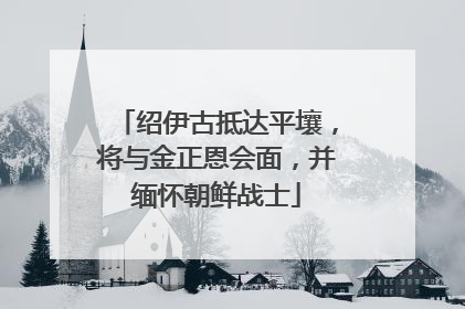 绍伊古抵达平壤，将与金正恩会面，并缅怀朝鲜战士