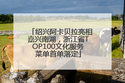 绍兴阿卡贝拉亮相嘉兴南湖，浙江省TOP100文化服务菜单首单落定