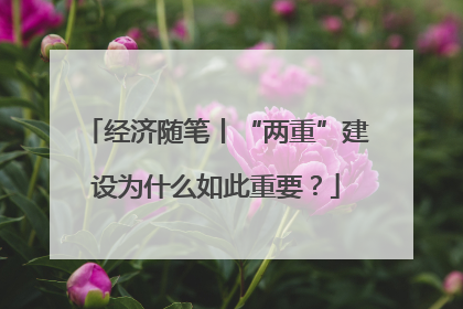 经济随笔丨“两重”建设为什么如此重要？
