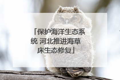 保护海洋生态系统 河北推进海草床生态修复
