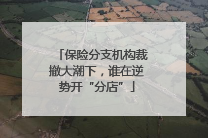 保险分支机构裁撤大潮下，谁在逆势开“分店”