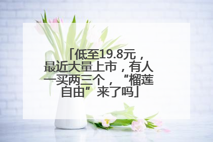 低至19.8元，最近大量上市，有人一买两三个，“榴莲自由”来了吗