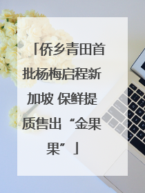 侨乡青田首批杨梅启程新加坡 保鲜提质售出“金果果”