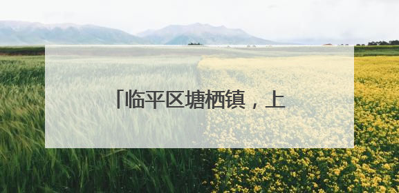 临平区塘栖镇，上榜省级中心镇！