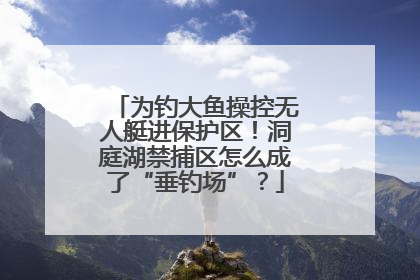 为钓大鱼操控无人艇进保护区！洞庭湖禁捕区怎么成了“垂钓场”？