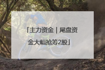 主力资金｜尾盘资金大幅抢筹2股