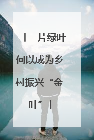 一片绿叶何以成为乡村振兴“金叶”