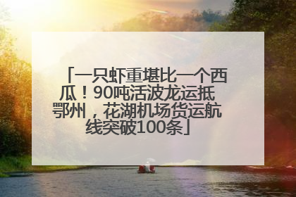 一只虾重堪比一个西瓜！90吨活波龙运抵鄂州，花湖机场货运航线突破100条