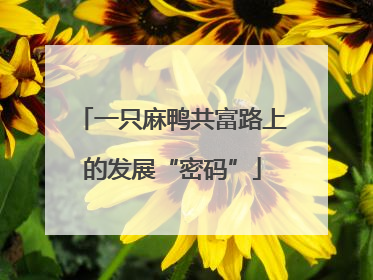 一只麻鸭共富路上的发展“密码”